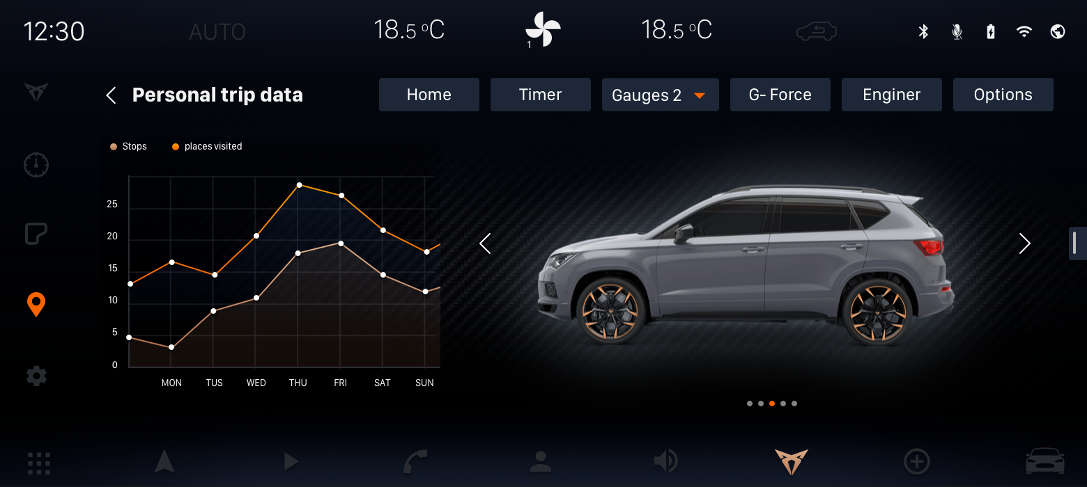CUPRA-TRIPS-SETTINGS-CAR-Copy-2
