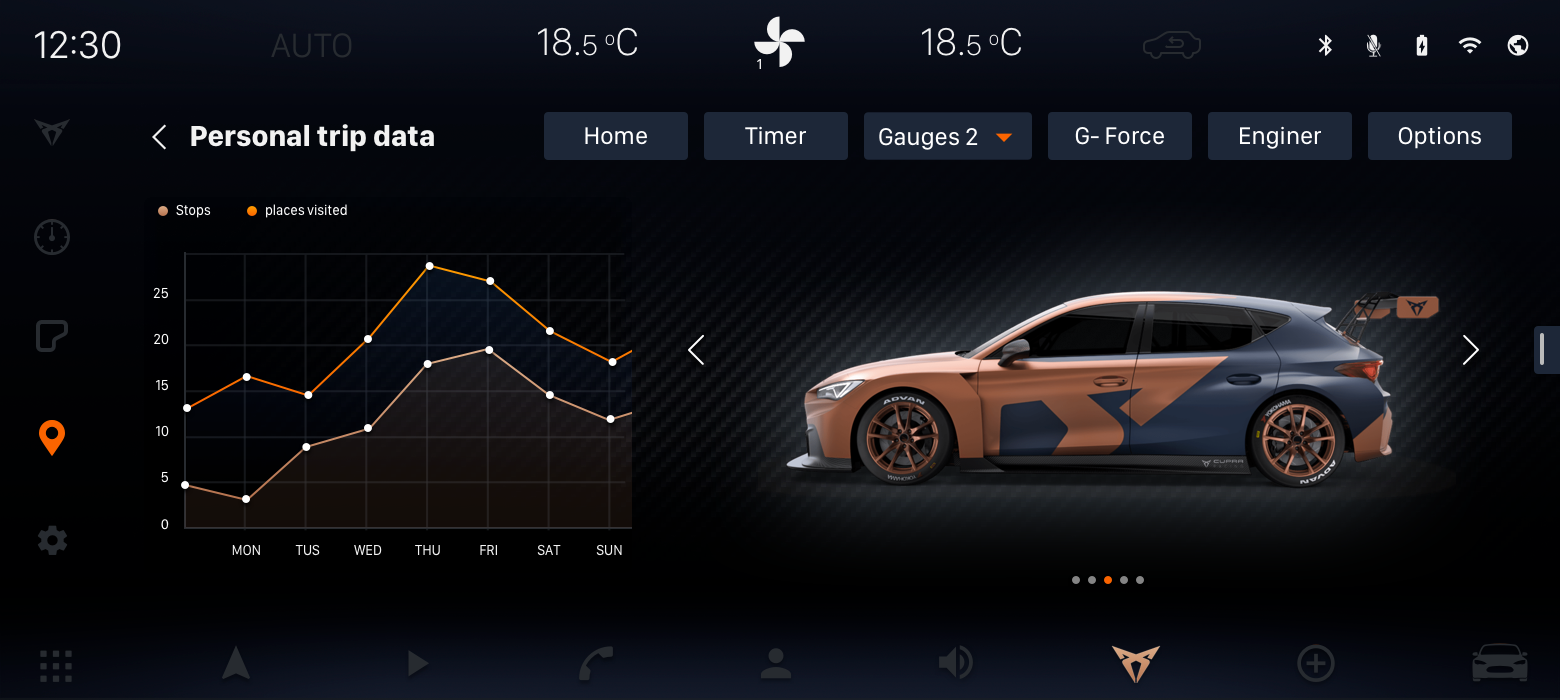 CUPRA-TRIPS-SETTINGS-CAR-Copy