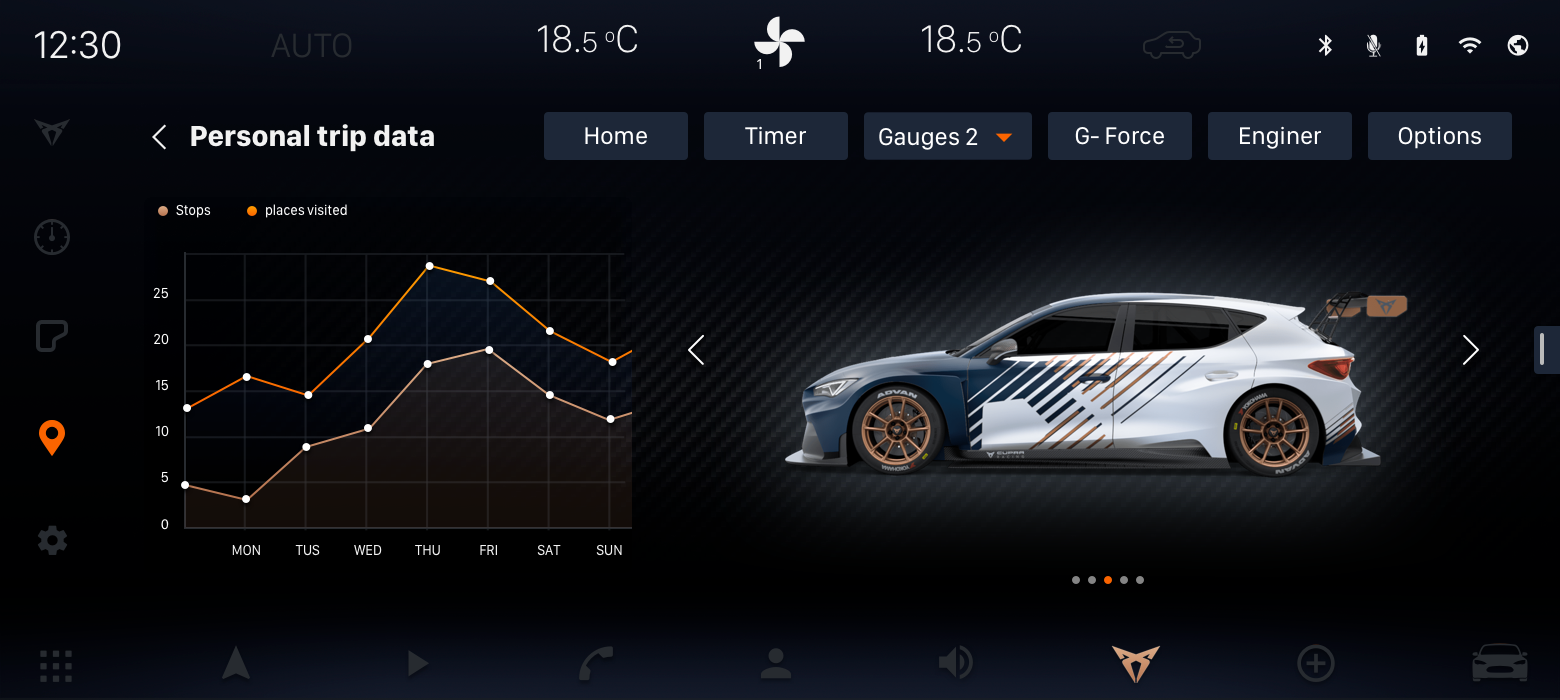 CUPRA-TRIPS-SETTINGS-CAR
